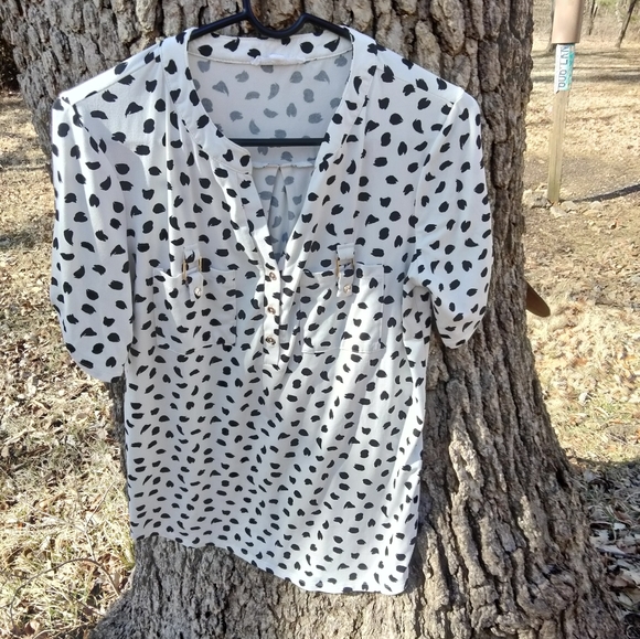 ⬇️ Price Drop!⬇️ Perception Concepts Blouse in size M - Picture 1 of 3
